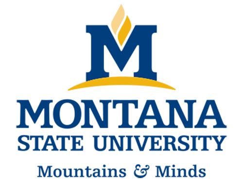 MSU-Mountains-and-Minds-logo